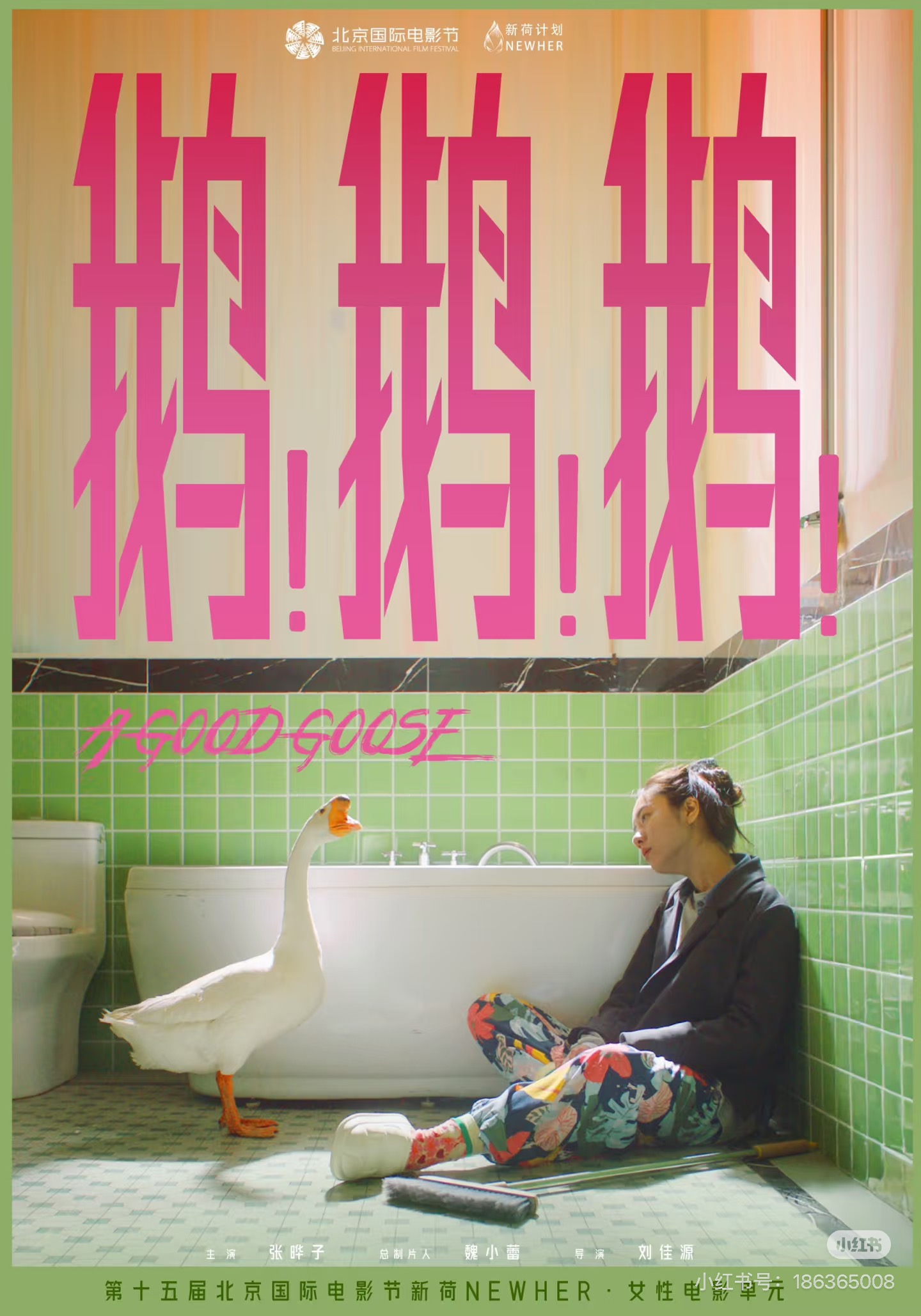 鹅鹅鹅